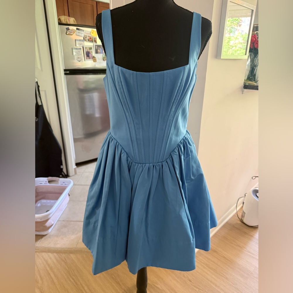 Staud Landscape Bodice Fit & Flare Dress